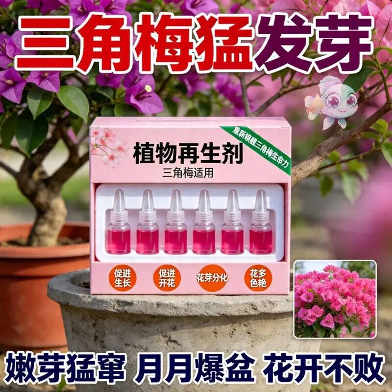 植物再生剂三角梅专用液体促进生长开花爆盆保鲜剂嫩芽有机肥爆花
