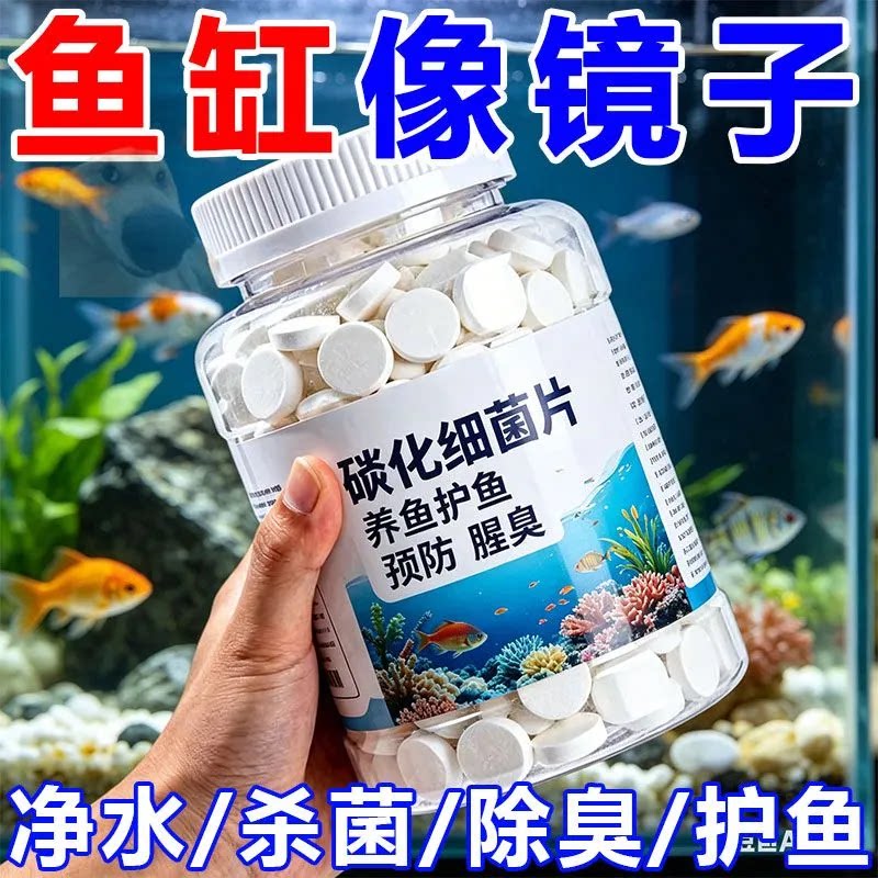 鱼缸硝化细菌片净水杀菌除臭护鱼养鱼专用净化水质养鱼用品片片剂