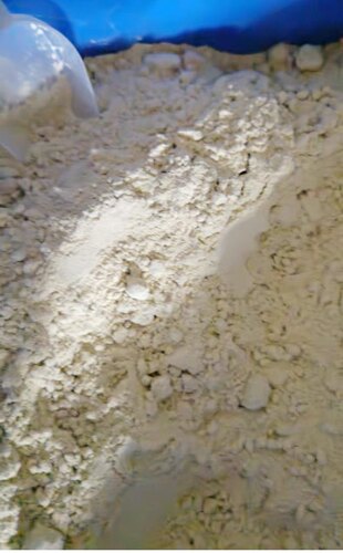 牡丹鹦鹉虎皮玄凤鹦鹉奶粉雏鸟