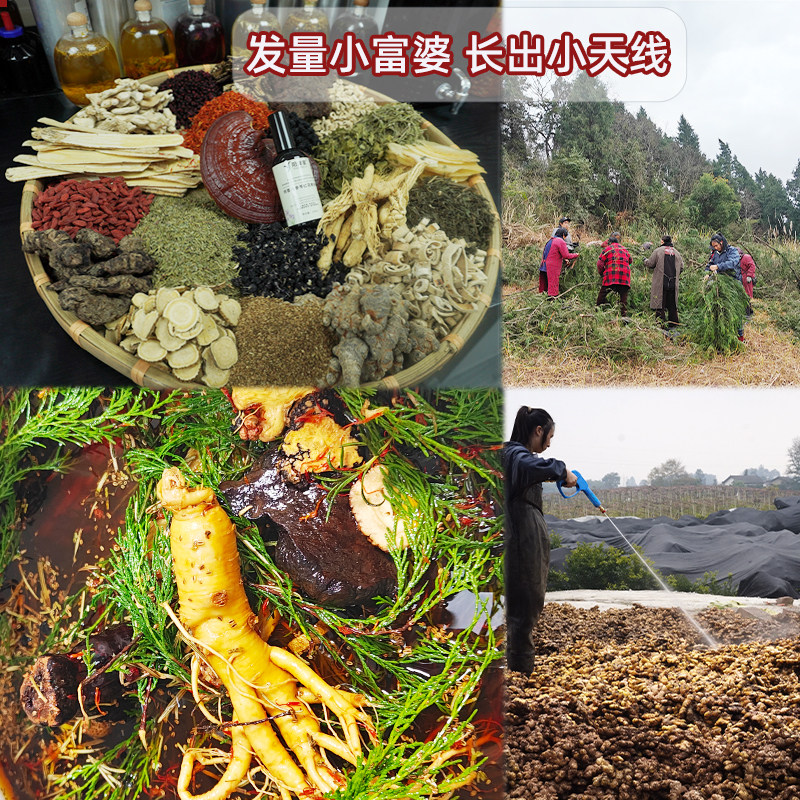 发量小富婆长出小天线拜拜小秃头红花何首乌人参黄芪精华液护发液