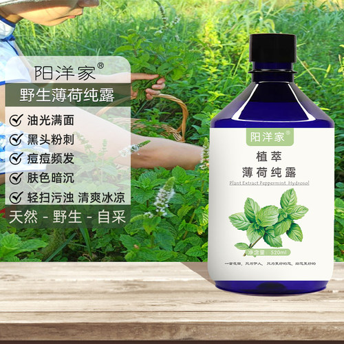 高浓野生薄荷纯露520ml 闭口粉刺痘痘平衡水油收毛孔清爽冰凉清洁