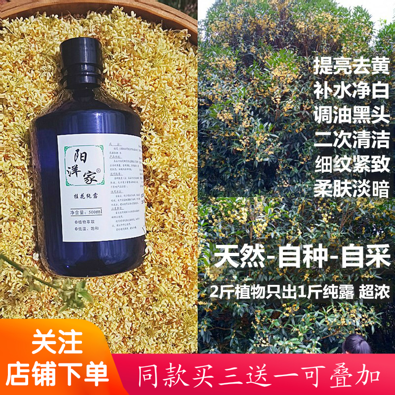 3送1桂花纯露500ml嫩肤透亮补水保细腻湿毛孔黑头清洁喷雾爽肤水