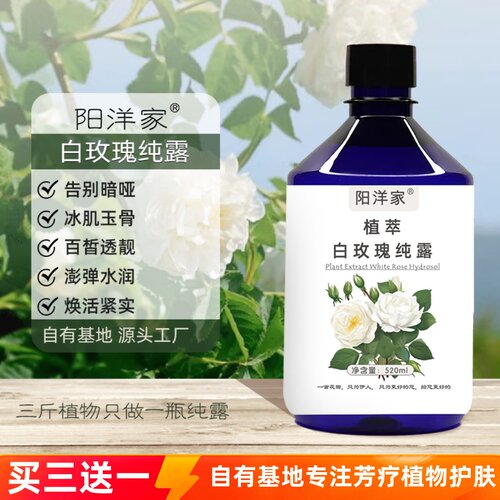 阳洋家白玫瑰纯露520ml暗沉斑点透靓护肤细毛孔养化老化细纹干纹