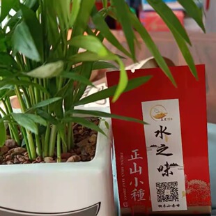 2025年五里场～水之味（桐木小赤甘）