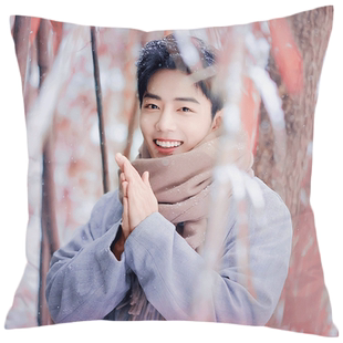 肖战抱枕余生请多指教周边双面diy定制人形睡觉被子两用女靠枕头