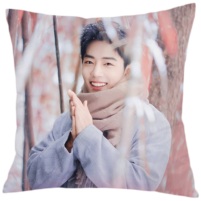 肖战抱枕定制diy双面人形靠枕头