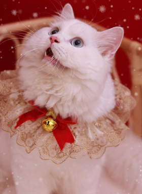 红色宠物圣诞节项圈猫咪狗狗兔子口水巾节日围脖蕾丝项链网红项圈