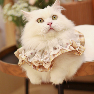 宠物项圈狗狗衣服围脖三角巾口水巾编制手工制作可爱猫咪衣服蕾丝