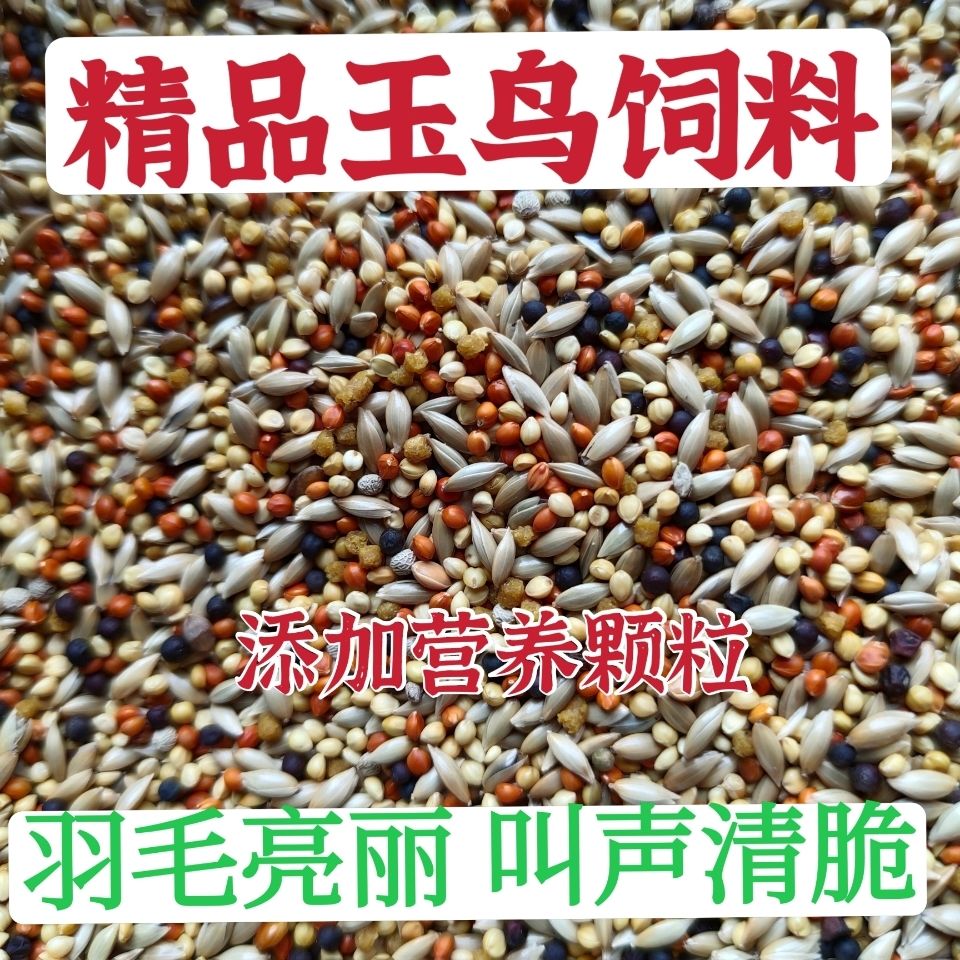 金丝雀饲料饲混合混合营养饲料料
