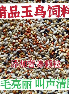 玉鸟黄雀营养鸟食金丝雀混合鸟粮麻料金翅芙蓉鸟金青黄巧鹦鹉饲料