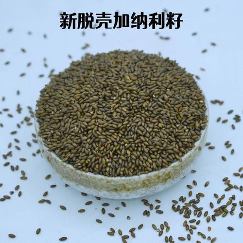 脱壳加纳利子/加纳仁/加纳碎/虎皮牡丹玄凤文鸟无壳粮鸟儿爱吃