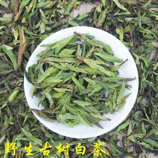 古树白茶2025年春茶云南野生白茶半开芽苞高山荒野白茶散装月光白