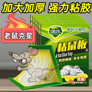 粘鼠板强力胶粘大老鼠超强家用加大加厚厨房抓老鼠捕捉器夹子神器