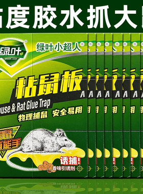 绿叶粘鼠板强力胶粘大小老鼠
