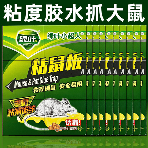 绿叶粘鼠板强力胶粘大小老鼠