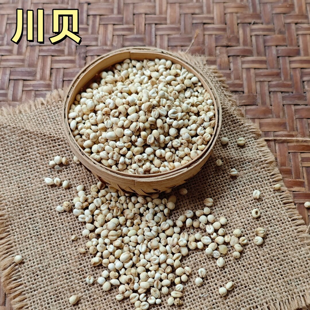 正宗四川小川贝母粒小平贝化痰川贝粉天然无硫50g中药材