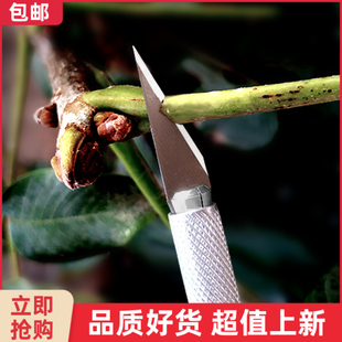 多肉砍头刀嫁接刀芽接刀月季嫁接工具十二卷分株多肉植物砍头专用