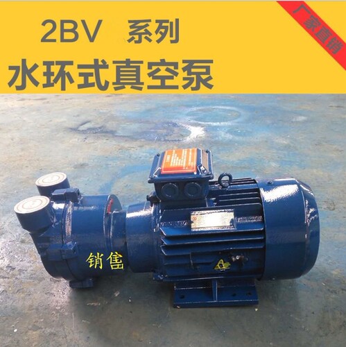 2BV水循环真空泵铸铁不锈钢叶轮
