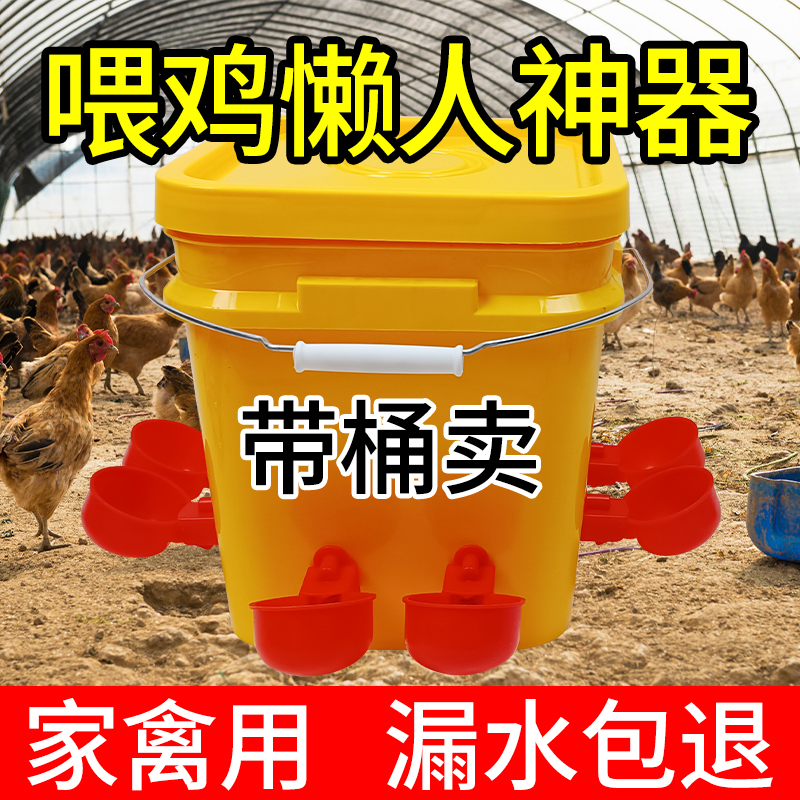 小鸡喝水饮水器家禽自动喂水器