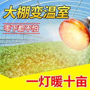 大棚增温神器冬季保温灯蔬菜大棚专用灯红外线加温灯加热灯增温灯