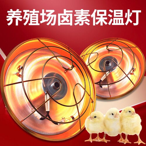 养殖保温灯小鸡育雏保温灯灯罩