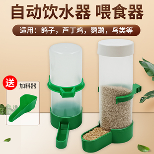 鹦鹉饮水器小鸟喝水器鸽子食槽芦丁鸡食盒喂食神器鸟用自动喂食器