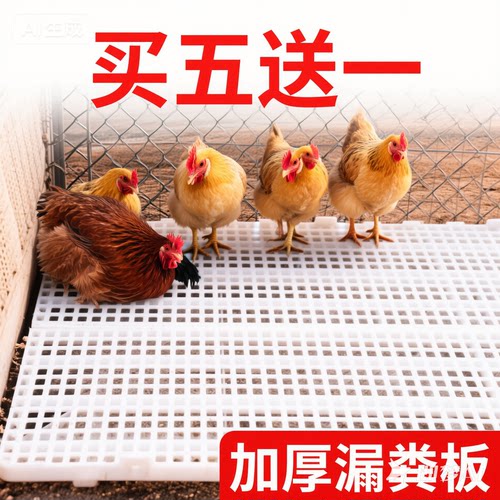鸡舍漏粪板养鸡用专用垫鸡鸭鹅鸡粪小鸡塑料鸡笼脚垫网板漏屎地板