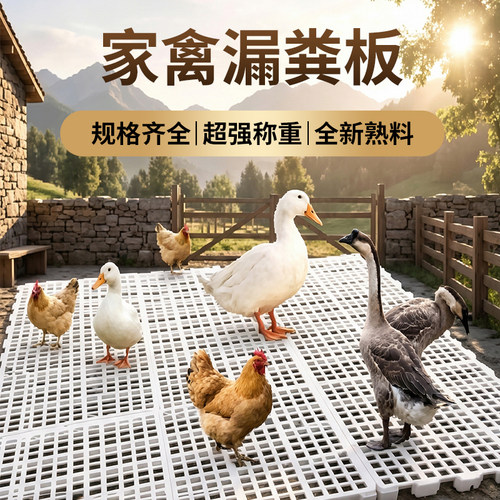 加厚塑料鸡用漏粪板家禽用鸽子鸭鹅塑料漏屎板鸡舍养殖场漏粪网板