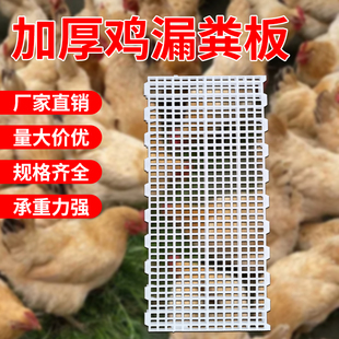 鸡鸭鹅漏粪板鸡笼漏粪网加厚鸡舍鸡圈小鸡育雏养鸭家禽塑料漏粪板