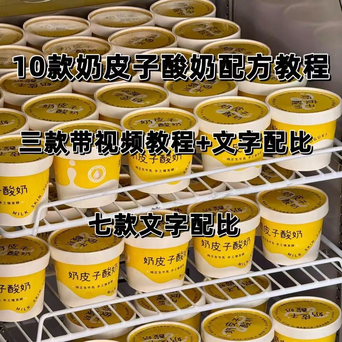 10种口味奶皮子酸奶酪技
