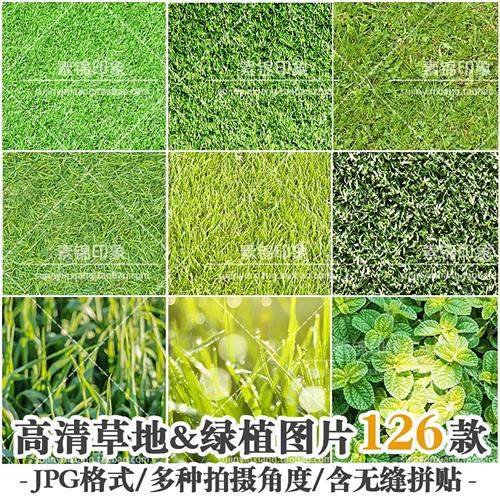 ps高清真实青草地草坪绿植物俯视图影楼照片摄影背景后期设计素材