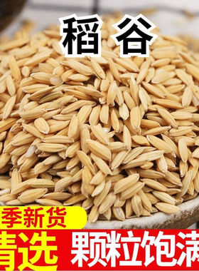 热销带壳稻谷谷子水稻稻子粮食杂粮大米喂鸡鸭鹅鸽鸟仓鼠宠物饲料