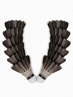 群力KL-09训练羽毛球防风飞行稳定黑色单边鹅毛耐打王练习用球