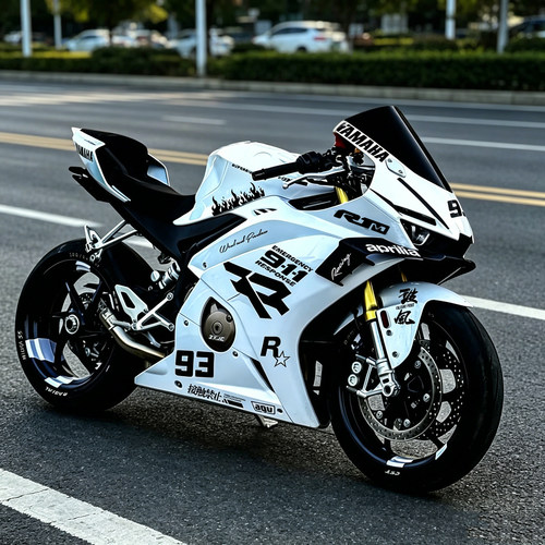 适用张雪500RR/820RR改装车身贴