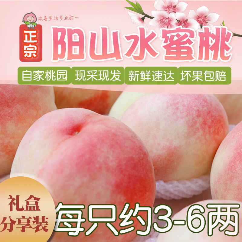 正宗无锡阳山水蜜桃礼盒甜新鲜