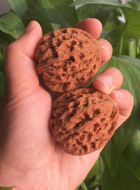 康恩文玩核桃玉龙狮子头手把件虎头手玩收藏双11新品送长辈实用