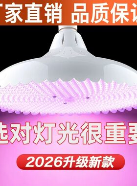 新国标隐形红LED灯无频闪超亮高显色白光灯店铺商用节能照明专用