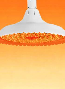 LED暖黄光照明灯新白光高亮节能灯具E27螺口220V插电款通用照明灯