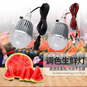 12VLED可调色水果灯夜市灯电动三轮车48V60V生鲜灯红色灯地摊灯