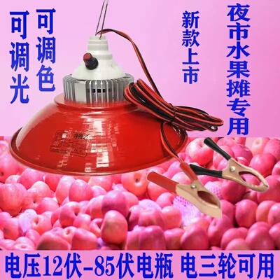 12-60V电瓶三轮车红光变色灯