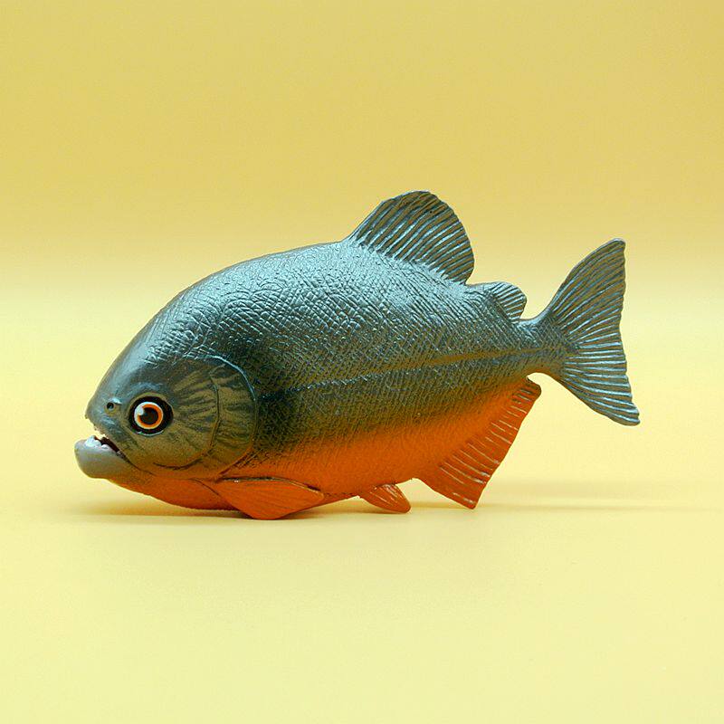 美国safari正品仿真海洋动物食人鱼(红腹食人鱼模型)模型玩具