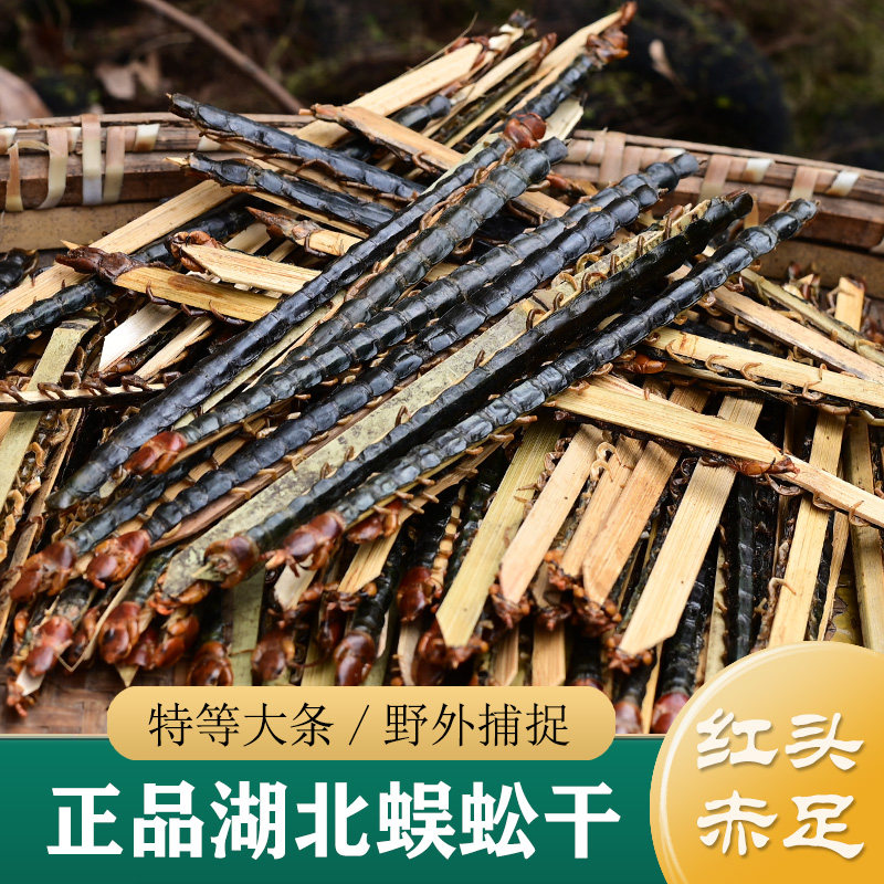 蜈蚣干中药材正品 湖北荆门金头蜈蚣 17~18厘米 红头赤足（可打粉