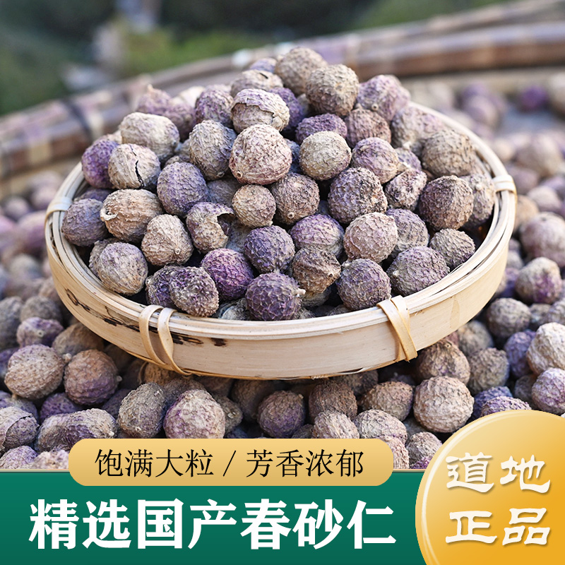 砂仁中药材正品 精选特级阳春砂100g 云南春砂仁干 砂仁果/砂仁粉