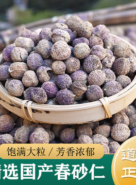 砂仁中药材正品 精选特级阳春砂100g 云南春砂仁干 砂仁果/砂仁粉