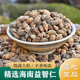 杜仲菟丝子 野生益智仁粉 益智仁中药材正品 精选海南益智仁250g