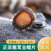 半蜡片 全蜡片 泡茶 吉林梅花鹿鹿茸全蜡片5g 鹿茸片中药材正品