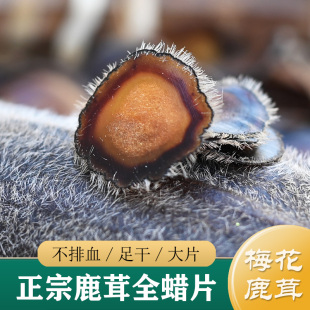 半蜡片 全蜡片 泡茶 吉林梅花鹿鹿茸全蜡片5g 鹿茸片中药材正品