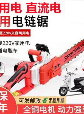 德国两用电锯60V-220V直流和交流