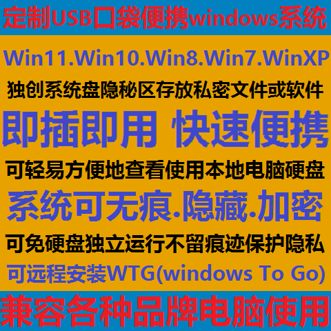 WTG系统U盘便携移动口袋随身网吧电脑usb无痕影子系统WindowsToGo