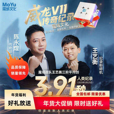 魔域文化王艺衡记录款3.91威龙